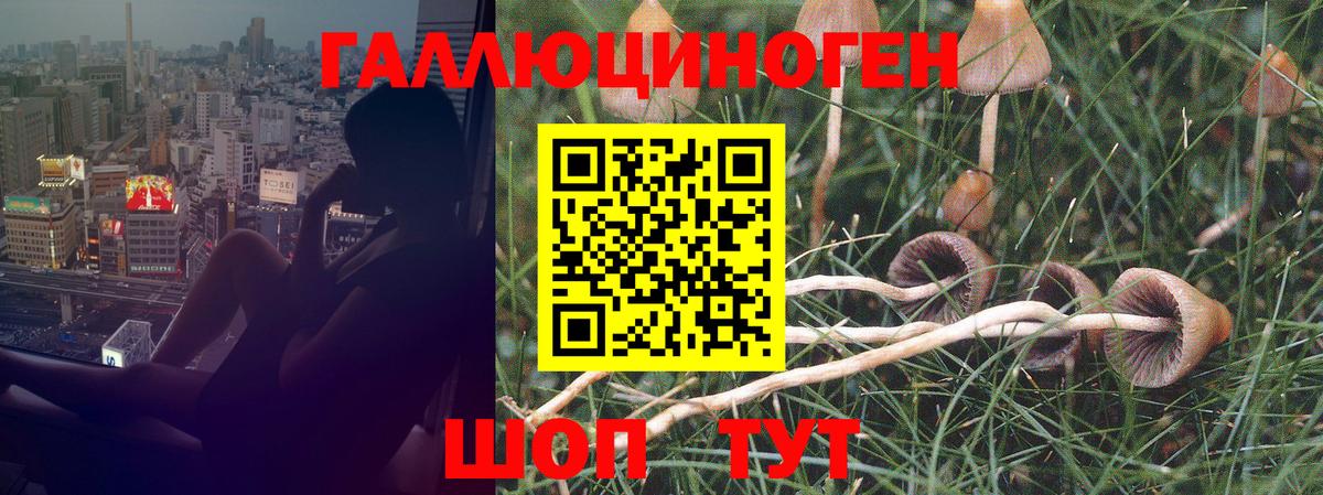 Псилоцибиновые грибы мухоморы Алейск