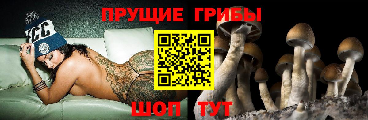 Псилоцибиновые грибы ЛСД  Вход с VPN  Алейск 